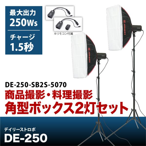 デイリーストロボ DE-250 商品撮影・料理撮影 ソフトボックス2灯セット