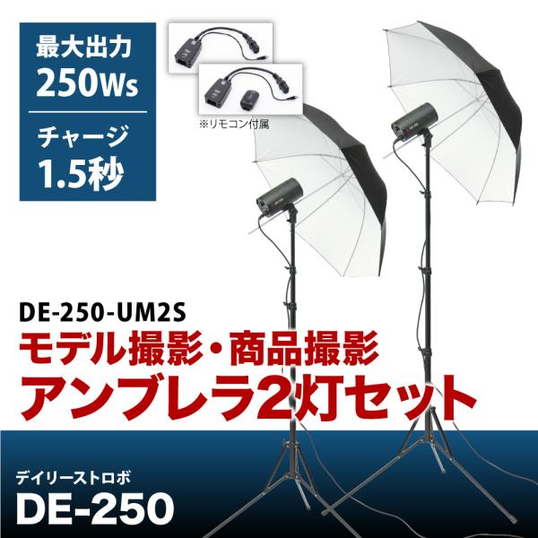 デイリーストロボ DE-250 モデル撮影・商品撮影 アンブレラ2灯セット