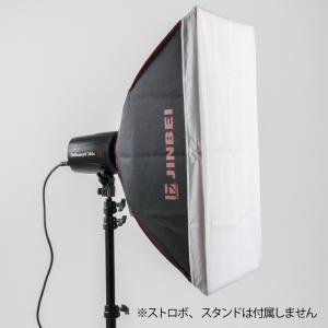 ストロボDE/DIIシリーズ/MARS-3用ソフトボックス 50×70cm　撮影機材