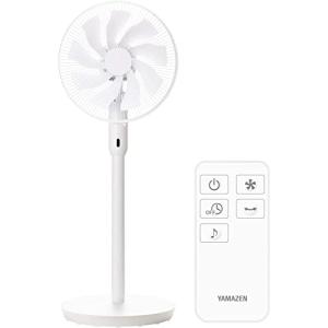 左右首振り 静音モード W ポール継脚仕様 リモコン付