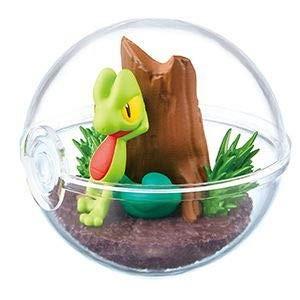 ポケットモンスター ポケモン テラリウムコレクション6 第6弾 5 キモリ 単品 Poketerrarium6 05 おもちゃのお店 森のポワル 通販 Yahoo ショッピング