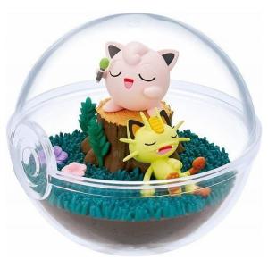 ポケットモンスター テラリウムコレクション 9 1box 爽快ドラッグ 通販 Yahoo ショッピング