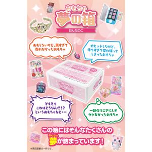 おもちゃ 夢の箱 女の子 (定価￥4,000(...の詳細画像1