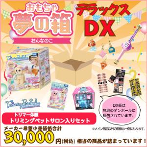 おもちゃ 夢の箱ＤＸ 女の子 トリミングペットサロン入りセット     6歳 7歳 8歳 小学生  お楽しみボックス  おたのしみ BOX 福袋 福箱｜omochayasannosouko