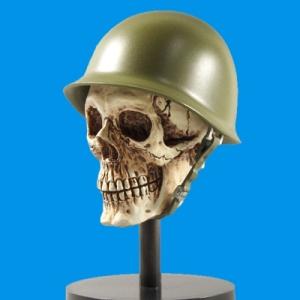 ときめきドットコム 1／6戦闘用ヘルメット第1弾 TEPPACHI鉄鉢 04.M1