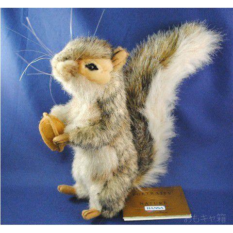 HANSA　Grey Squirrel　20cm　ハイイロリス　ぬいぐるみ　(4841)