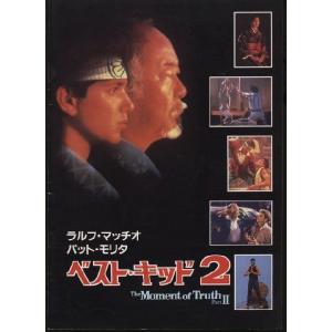 愛と栄光への日々 Light Of Day マイケル・J・フォックス パンフレット