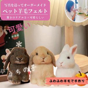 羊毛フェルト　ハンドメイド　qq様オーダー専用ページです☺︎ 羊毛フェルト ハンドメイド qq様オーダー専用ページです☺︎