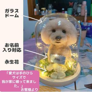実績500体を突破【写真から作る世界に一つだけ...の詳細画像3