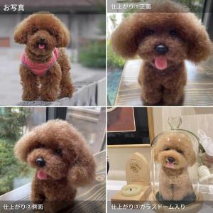 実績500体を突破【写真から作る世界に一つだけ...の詳細画像4