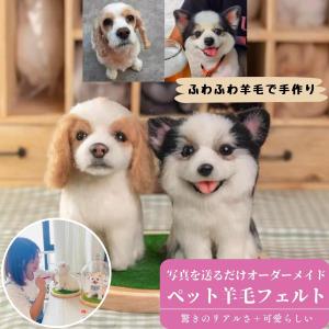 羊毛フェルト ミニチュア マスコット ふわふわ羊毛で作る 手作り ハンドメイド メモリアルグッズ 犬 猫 ペット【写真から作る】オーダーメイド承り中 2匹