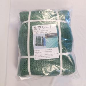 GF枝豆 30μ 190×200+40 2C 白紫 テープ付 4000枚 えだまめ 袋 石本