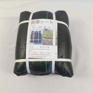 GF枝豆 30μ 190×200+40 2C 白紫 テープ付 4000枚 えだまめ 袋 石本