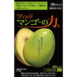 ワイルドマンゴーの力 A 30日分 60粒 亀山堂