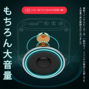 拡声器 ハンズフリー 小型 価格 スピーカー ...の詳細画像5