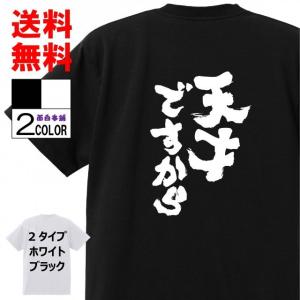 ザ・ヴァインズ The Vines 音楽Tシャツ ロックTシャツ バンドTシャツ