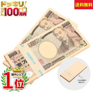 札束 A 1億円 100万円札束 100束セット ダミー 金融機関共通 文字入り