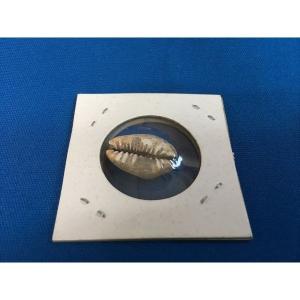 中国　発掘品 9197338 Excavator Zx120-5 Hydraulic Pump Hpk055a $6086