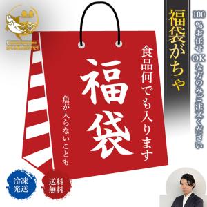 福袋 がちゃ 福袋がちゃ 送料無料 100％おまかせ 名古屋中央卸売市場ガチャ ガチャ 冷凍便