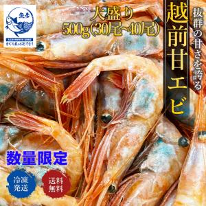 越前甘エビ 数量限定 約500g 子持ち 30〜40尾