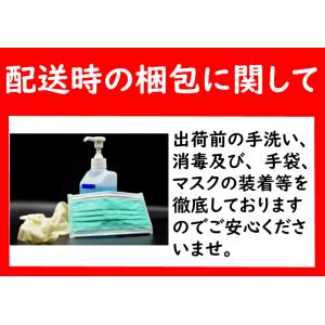 イカ 最安値 寿司ネタ 紋甲イカスライス 約1...の詳細画像4