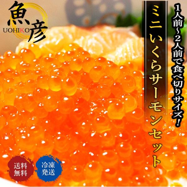 ＼対象商品2個ご購入で500円引き／ミニいくら サーモン はらこ飯セット いくら醤油漬 イクラ トロ...