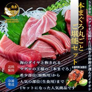 刺身 本マグロ 丸ごと ご堪能 セット 中トロ 赤身