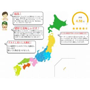 牡蠣 超特大広島かき 1kg カキ3L むき身...の詳細画像5