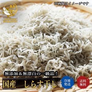 ＼対象商品2個購入で500円引／国産しらす干し 1kg 1キロ入り 送料無料 業務用 しらす シラス 産地 変わります 徳島 名産｜omotenashi2019