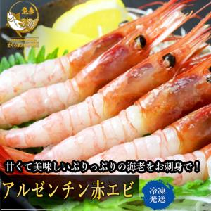 お刺身用天然赤エビ アルゼンチン 赤エビ ２ｋｇ