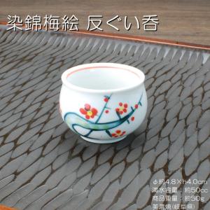 染錦梅絵 徳利 / 食器 酒器 うぐいす徳利 美濃焼 岐阜県 : おもてなし