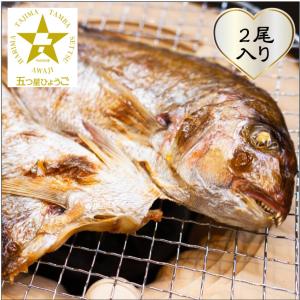 明石鯛の灰干し「匠」 明石沖で獲れた新鮮な魚をそのまま干物に 明石鯛の灰干し「匠」2尾入り