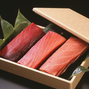 三崎マグロ　天然インド鮪（大トロ・中トロ・赤身）セット：07