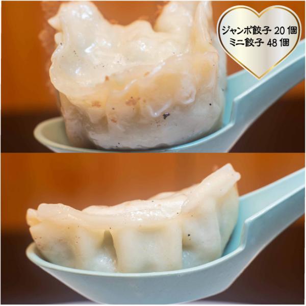 おもてなしギフト 佐野ぎょうざ 佐野ラーメン永華の人気餃子 ジャンボとミニの２種（１２人前）