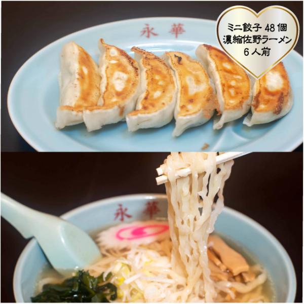 おもてなしギフト 佐野ぎょうざ 佐野ラーメン永華のミニ餃子８人前と濃縮ラーメン６人前