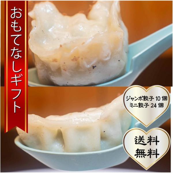 おもてなしギフト 佐野ぎょうざ 佐野ラーメン永華の人気餃子 ジャンボとミニの２種（６人前）