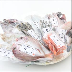 おもてなしギフト　干物詰合せ　富山県魚津の朝野商店の魚市場でセリ、加工して届ける旬の紅白干物セット（松）｜omotenashigift