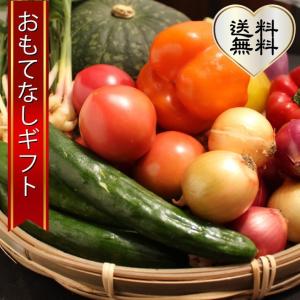 三浦野菜セット　三浦半島の畑で作られた野菜の１０種セット　4〜5人用　おもてなしギフト｜omotenashigift