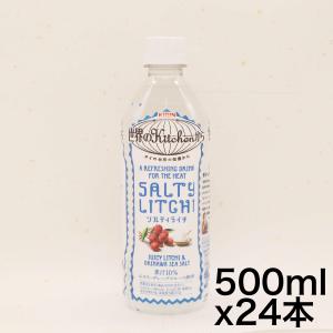 キリン 世界のKitchenから ソルティライチ 500ml PET ×24本｜omotenasis