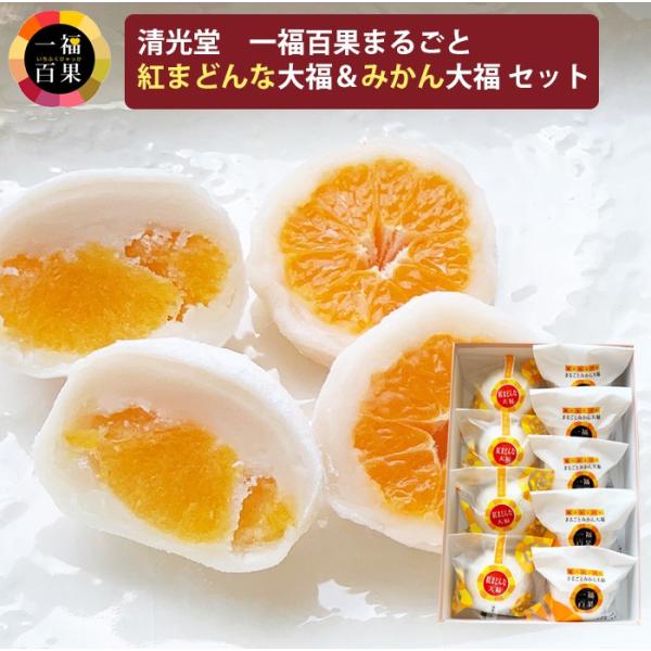 お歳暮 一福百果 紅まどんな大福4個 まるごとみかん大福5個 合計9個セット 愛媛県今治にある和菓子...