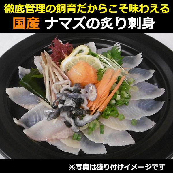 国産 鯰 なまずのあぶり刺身100g×3 コモリ食品 のし対応可