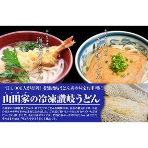 夏ギフト 2026 讃岐うどん 大きな海老天ぷ...の詳細画像1