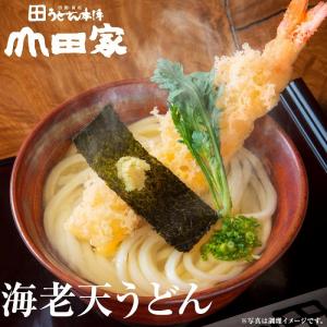 夏ギフト 2026 讃岐うどん 大きな海老天ぷ...の詳細画像3