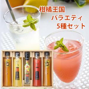 柑橘王国 バラエティ5種セット（飲む酢：ゆず・ブラッドオレンジ、食べる酢グミ：ミックス、生姜ドリンク：ゆず・みかん）（NSG-50） 尾崎食品 愛媛産 ギフト｜omotesando-club