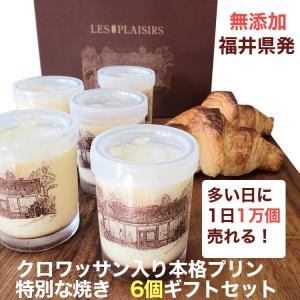 無添加 特別な焼きクロワッサン入りプリン6個入 保存料・合成着色料不使用/レ・プレジュール