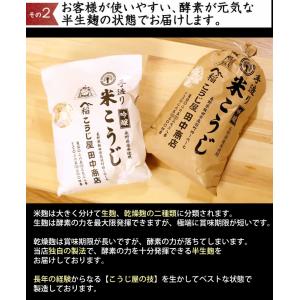 夏ギフト 2026 生麹 米麹の甘酒や塩麹が作...の詳細画像3