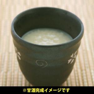 夏ギフト 2026 生麹 米麹の甘酒や塩麹が作...の詳細画像5