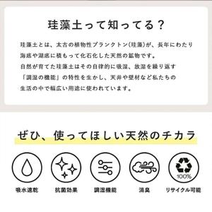 珪藻土バスマット 速乾 吸水 抗菌 防臭 洗え...の詳細画像2