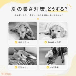 犬用 ライフジャケット ペット用 フローティン...の詳細画像1