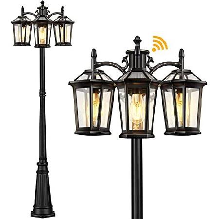 VIANIS Outdoor Lamp Post Lights with Dusk to Dawn ...